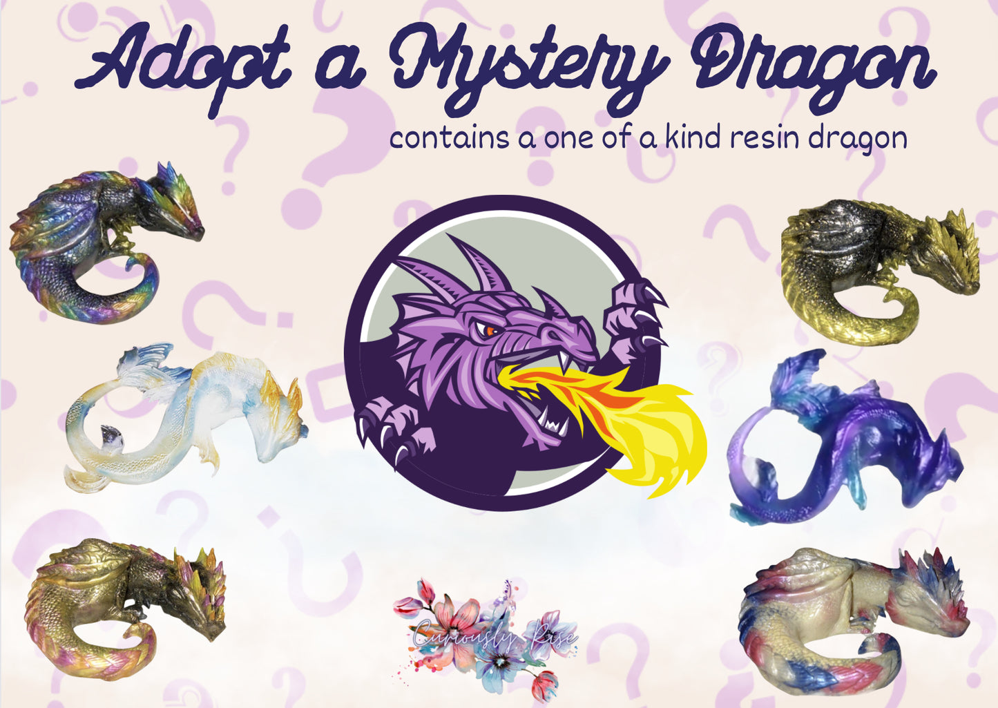 Adopt a Mystery Dragon