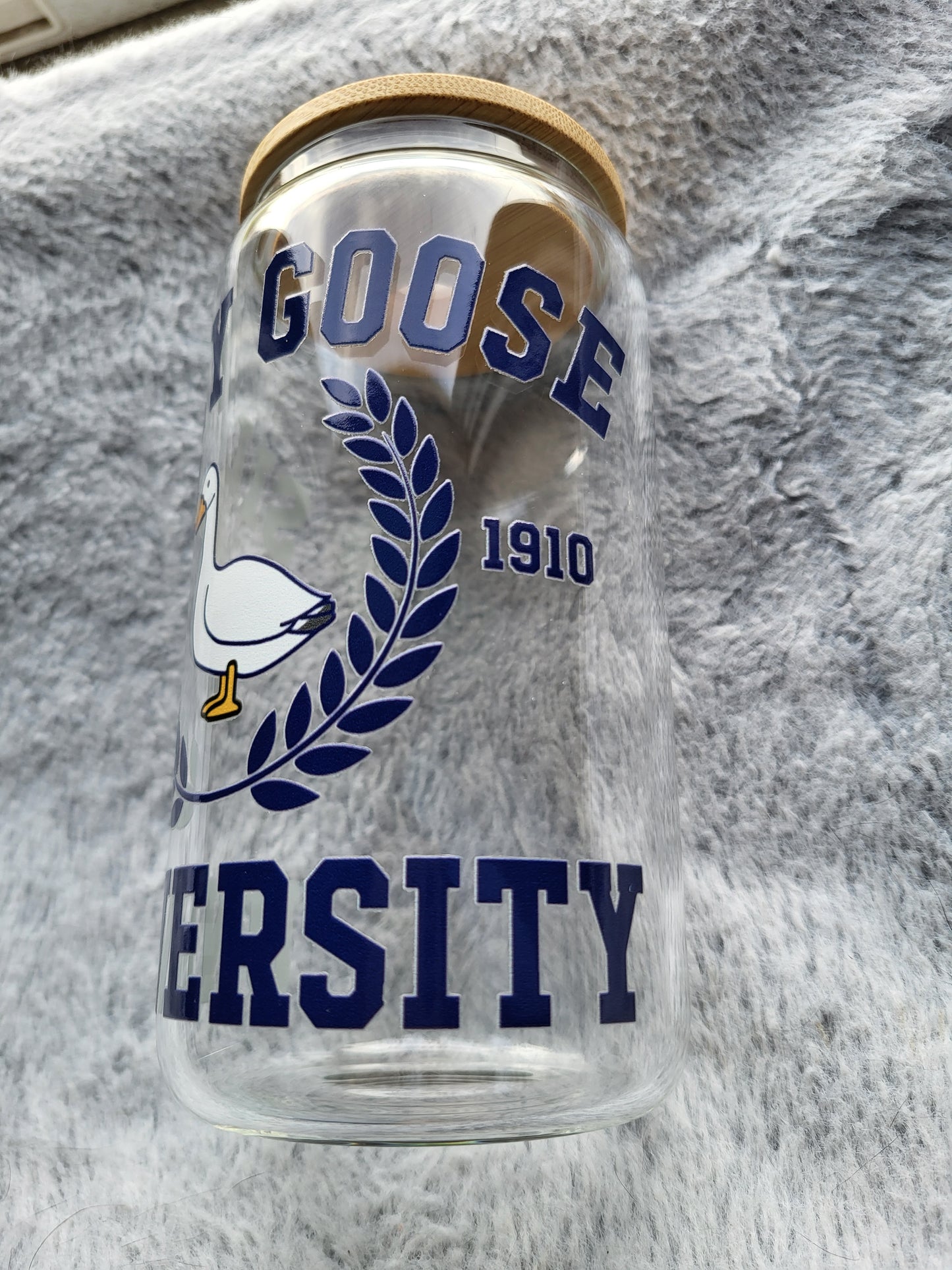 Silly Goose University clear Glass Can